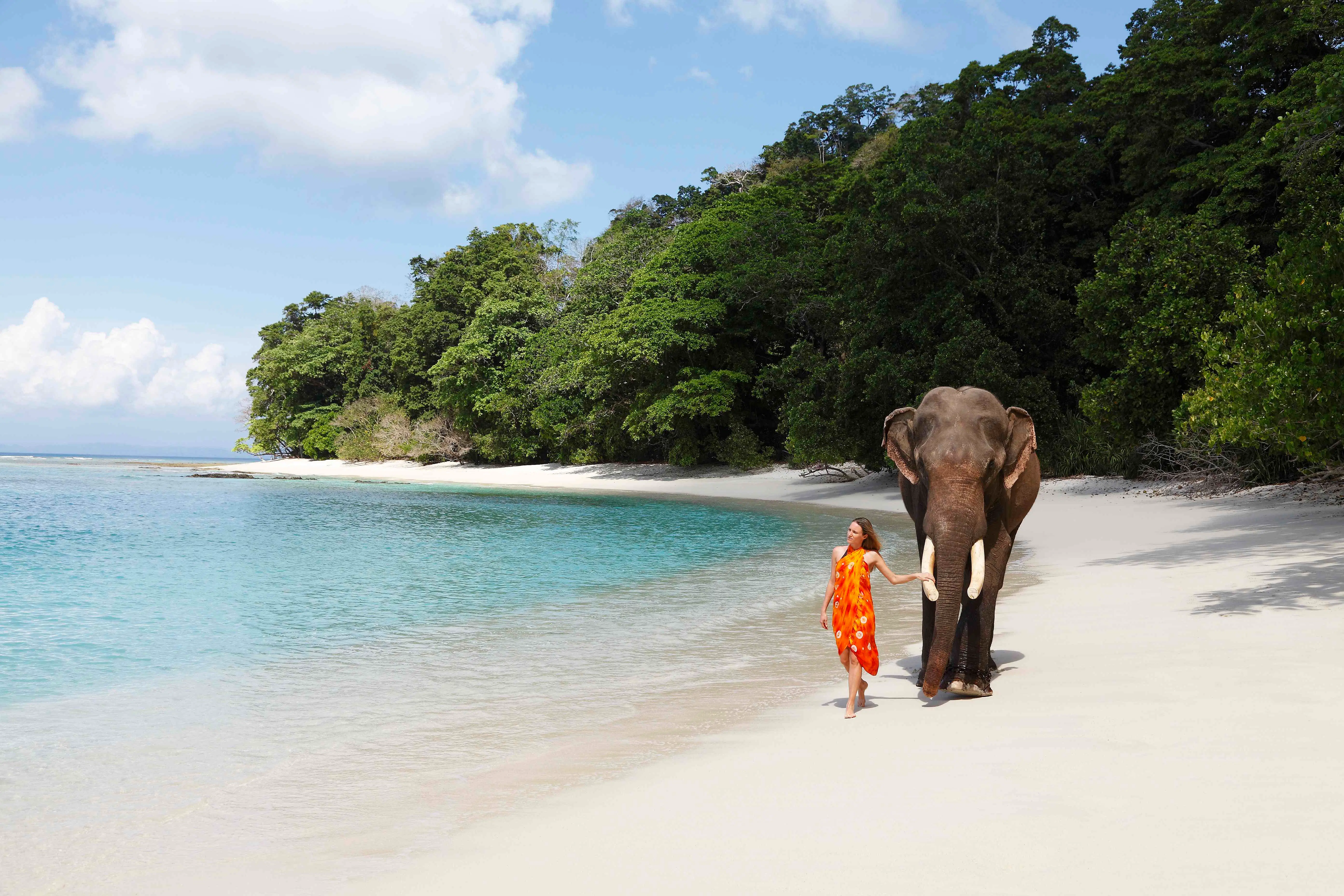 Andaman Elephant