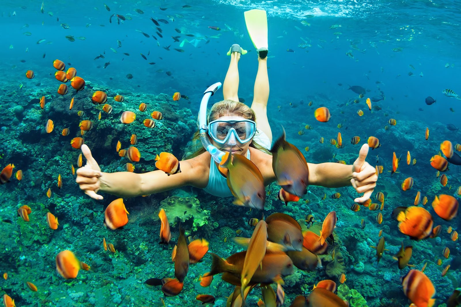 Andaman Underwater