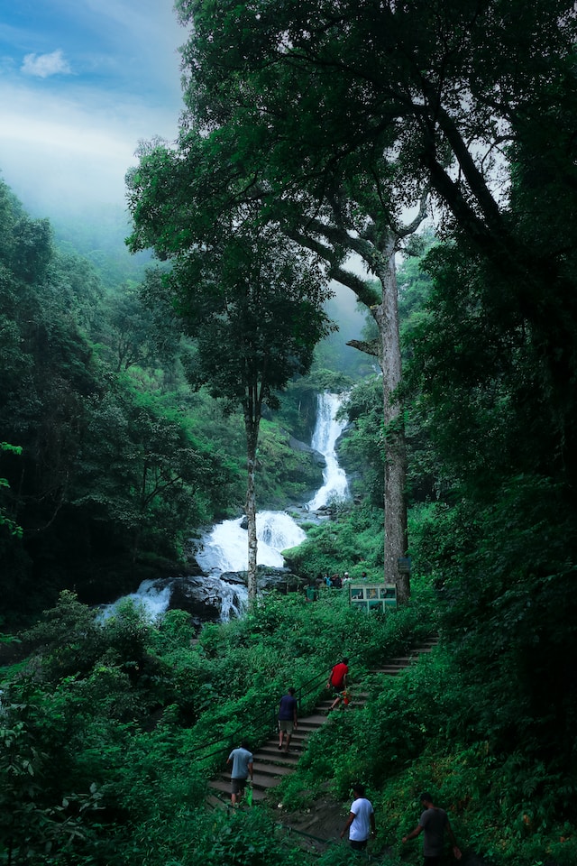 Karnataka Waterfall