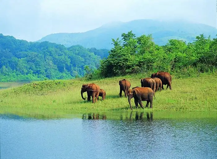 Mattupetty lake