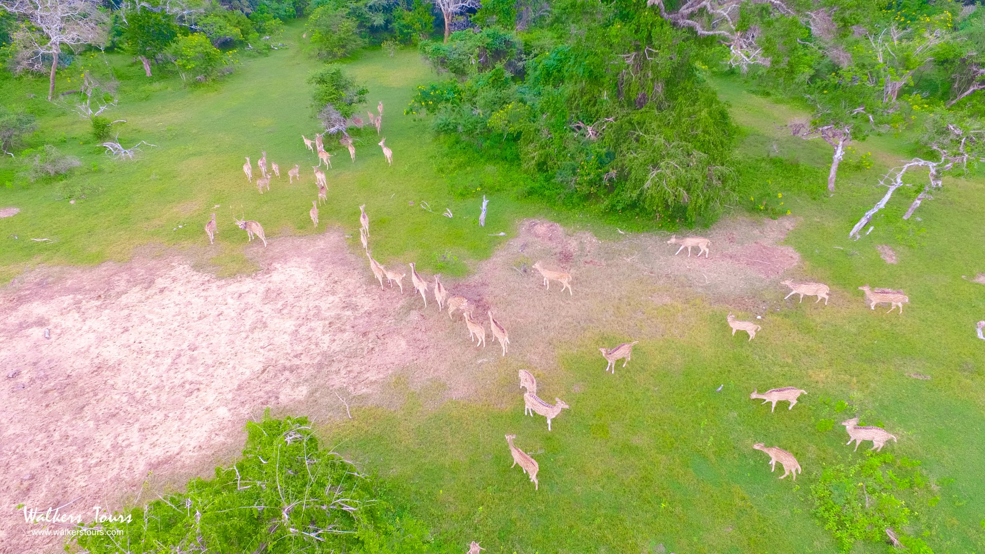 Yala National Park