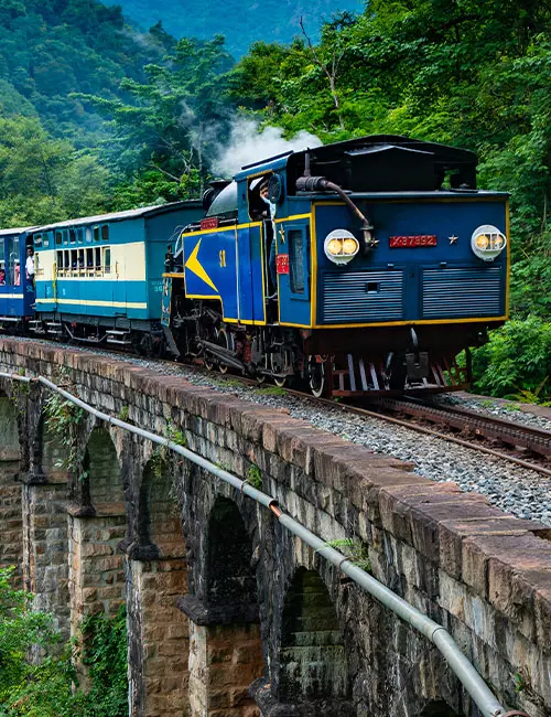 Ooty Toy Train